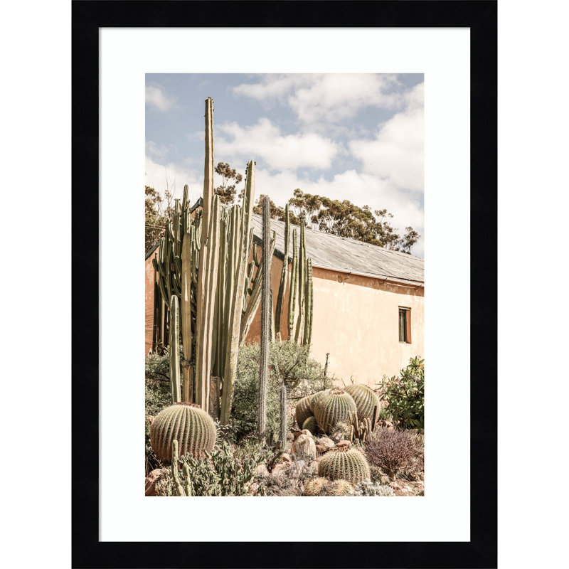 Daisey Karoo Garden 02 by Shot by Clint Wood Framed Wall Art Print, Black , 17" H x 13" W
