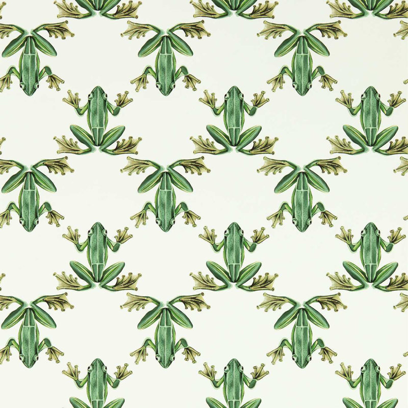 Wood Frog 10.05m x 52cm Wallpaper Roll, Forest/Chalk
