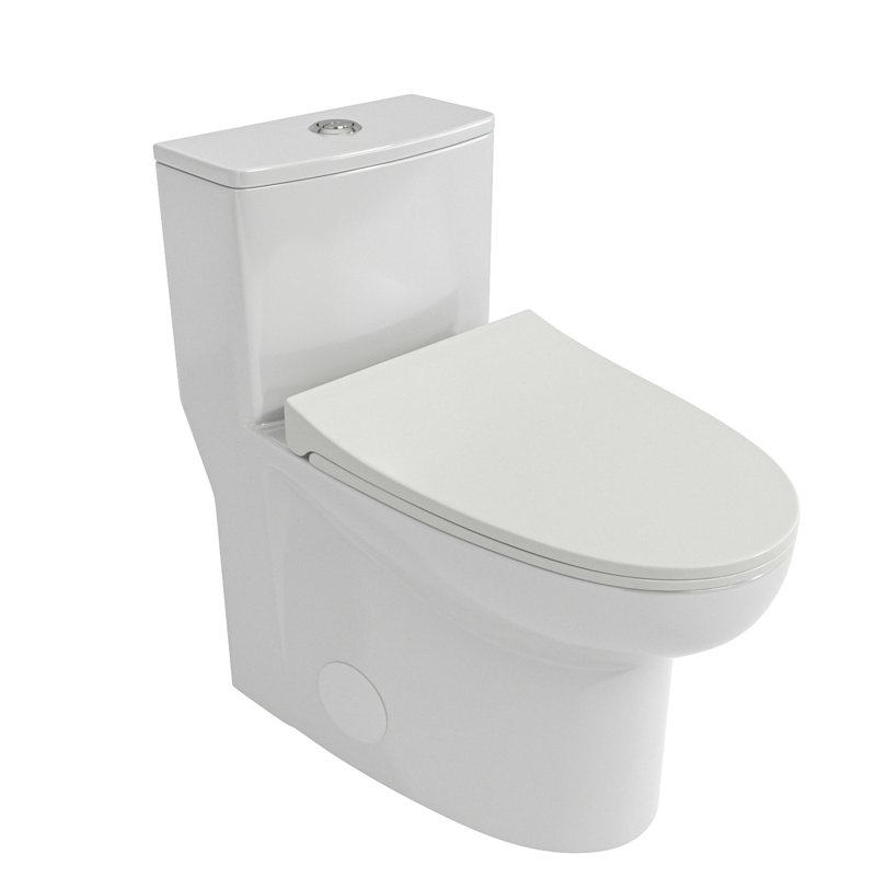 Toilette en céramique à double chasse avec performance durable et revêtement moderne facile d'entretien