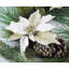 Couronne de Noël 24 po Poinsettia