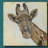 " Patterned Giraffe " Print-30375678