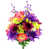 Jardin luxuriant est en rupture de stock
