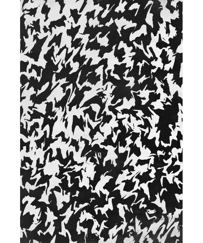 Wrapped Canvas Print, 50.8 cm H x 76.2 cm W