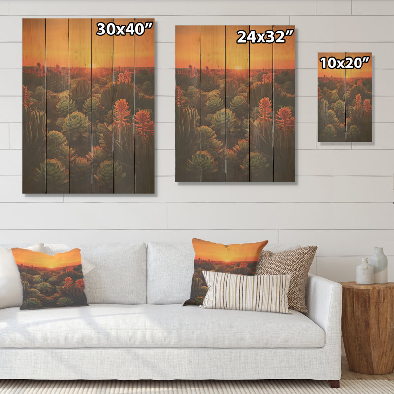 «Succulent Desert Cactus Field Burning Sunset I», art en bois succulent sur bois de pin naturel, H 40 po x l 30 po