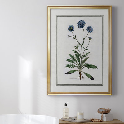 " Soft Botanical II " Painting Print