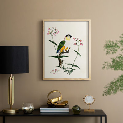 Bird in Habitat IV, reproduction encadrée - bois massif