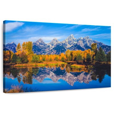 Alvord Golden Foliage Grand Teton