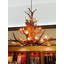 Knowles 20 - Light Chandelier