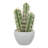 10.5 " H Faux Cactus and Succulent in Plastic Pot