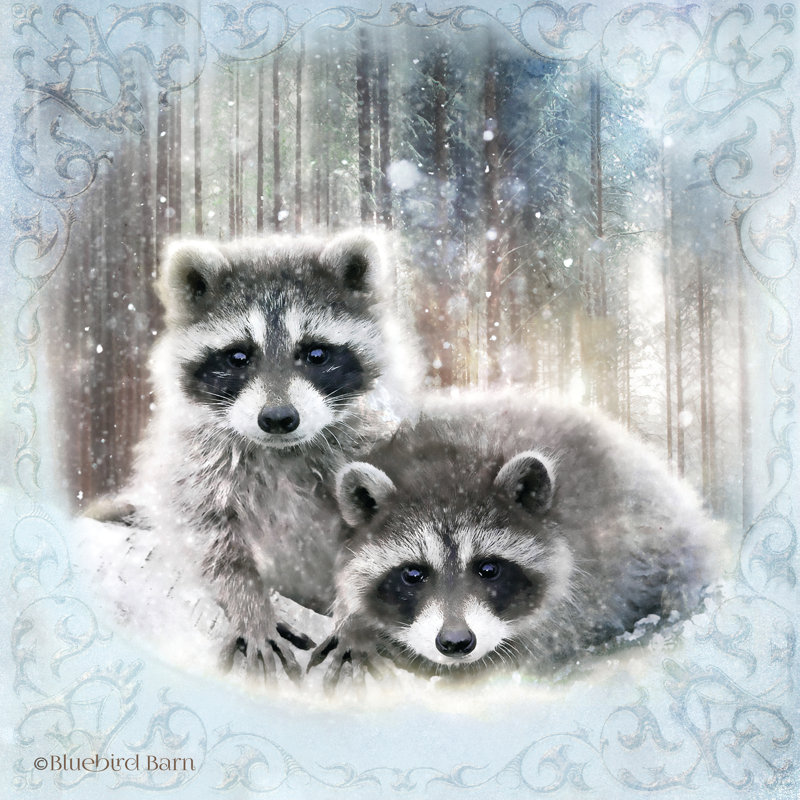 «Enchanted Winter Raccons» par Bluebird Barn - impression, H 12 po x l 12 po, Toile tendue