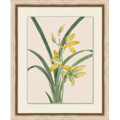 Prisma floral 14 - peinture encadrée