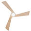 Ventilateur de plafond intelligent 60 po à DEL intégré Hinkley Sculpt avec télécommande Hiro-118745465-118745464