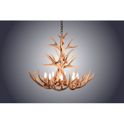 Kennedy 8 - Light Chandelier