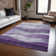 Machine Washable Indoor/Outdoor Chantille ACN1141 Lavender Rug