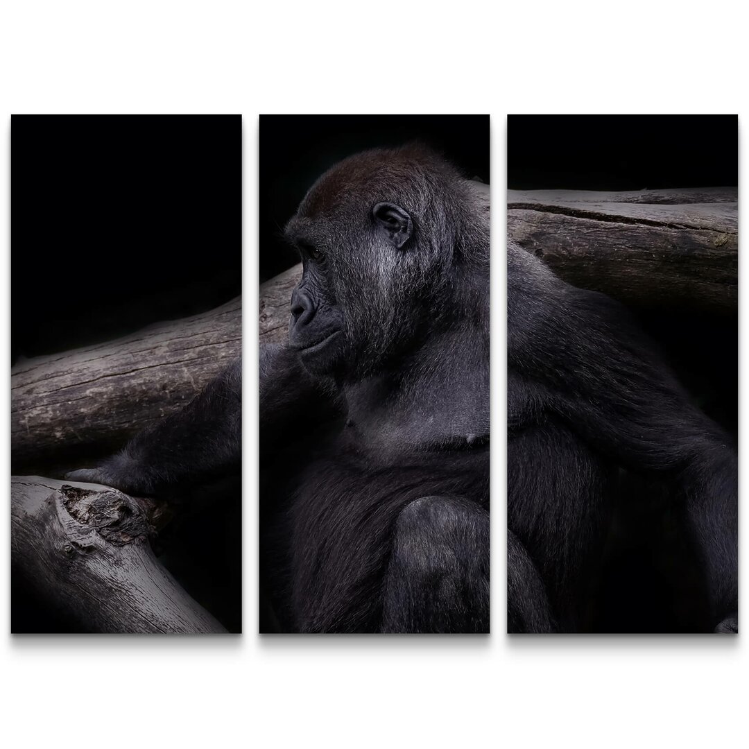 3-tlg. Leinwandbilder-Set Dunkles Portrait eines Gorillas