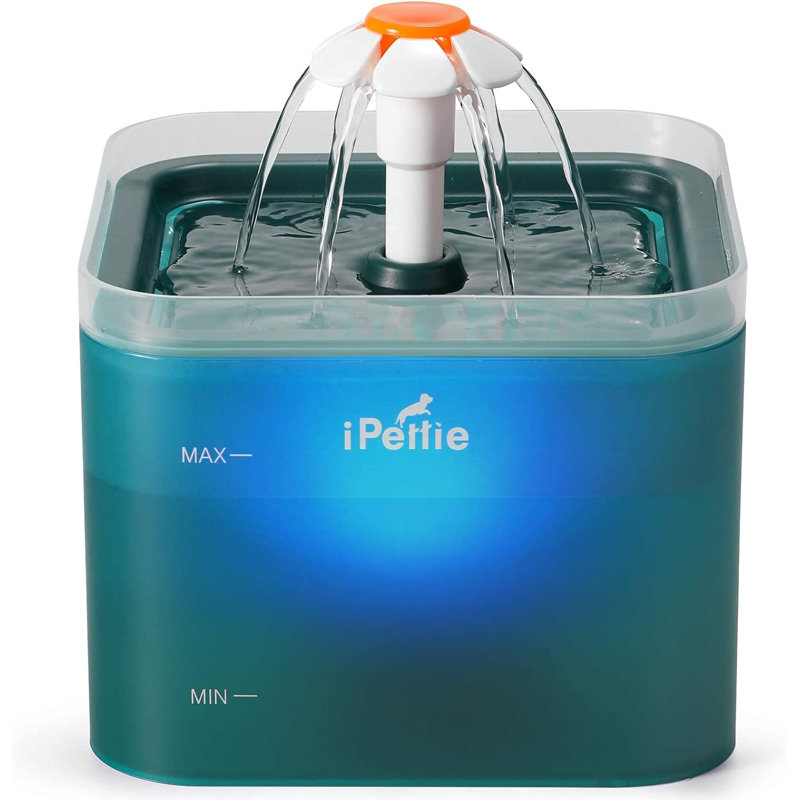 Distributeur d'eau automatique, Cyan