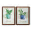 Basilic en pot - ensemble de 2 peintures sur toile encadrées-864886438-864886439