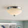 Reichert Glass Flush Mount