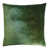 Evergreen selected