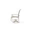 Belle Isle Sling Aluminum Frame Dining Height Swivel Rocker with Marine Grade Polymer Arm Accent-1423647164-1423646795