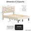 Lit double And And Quiet-1518570250