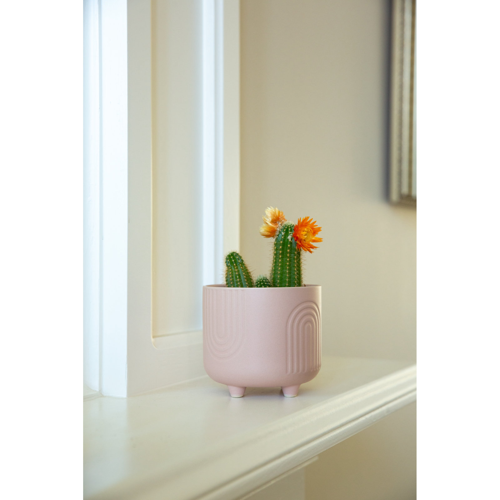 Martha 5" Ceramic Pot Planter, Matte Peach