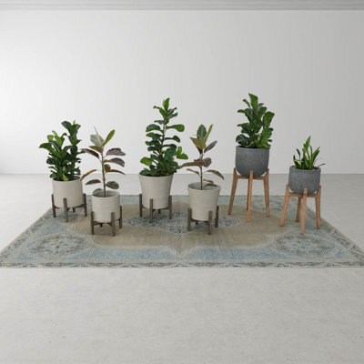 Enola 19" Pot Planter