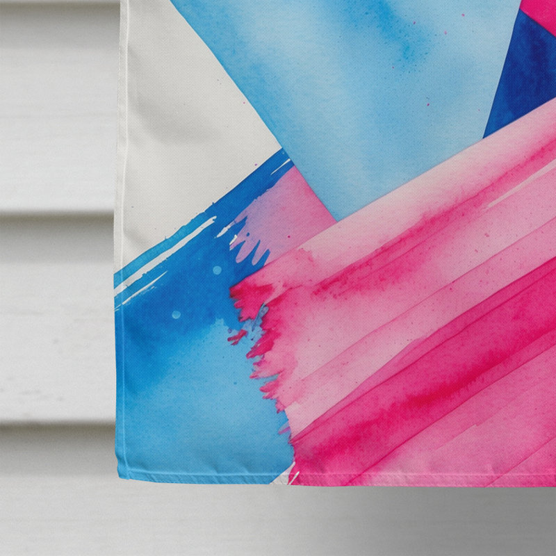 Drapeau de maison Trans and Proud Pride, Taille de la maison, Trans and Proud Pride