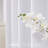 Harjot Room Darkening Curtain Pair-288655423-288655410