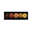 Floral Salute by Assaf Frank - Panoramic Print on Canvas-1456794350-1400075183