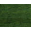 Handwoven Wool Gabbeh Uni Green Rug-60831736