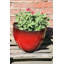 Einar Pot Planter-1529118355-1529118356