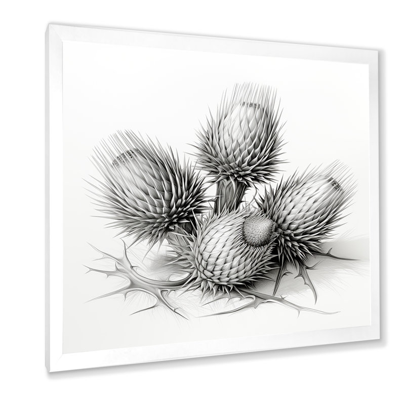 Fleurs de chardon - Art mural Thistle, H 30 po x l 30 po, Blanc