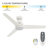 52 inch Malden Ceiling Fan with LED Light Kit and Handheld Remote-114604147-114604148