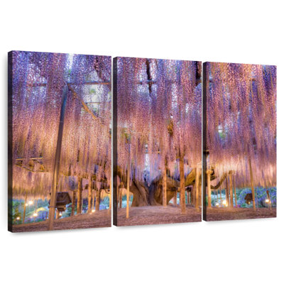 Harnek Wisteria Bloom