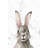 Bewildered Rabbits Thinking Rabbit Print on Wrapped Canvas-26825006