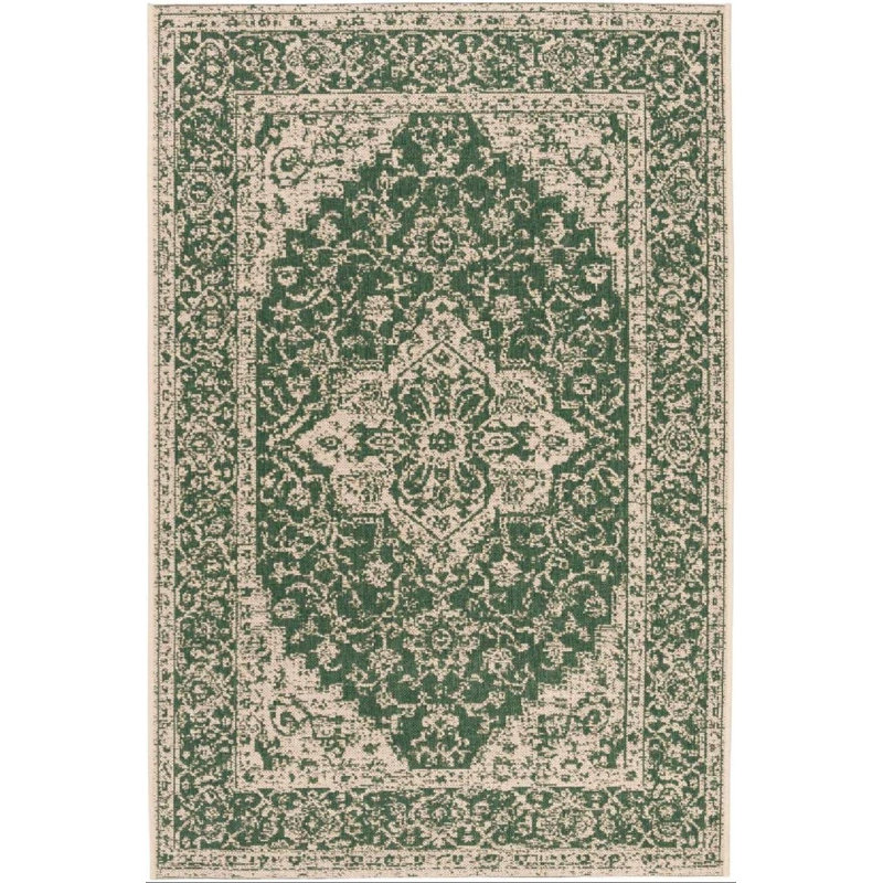 Danya Oriental Green/Cream Indoor/Outdoor Area Rug, Rectangle 3' x 5'