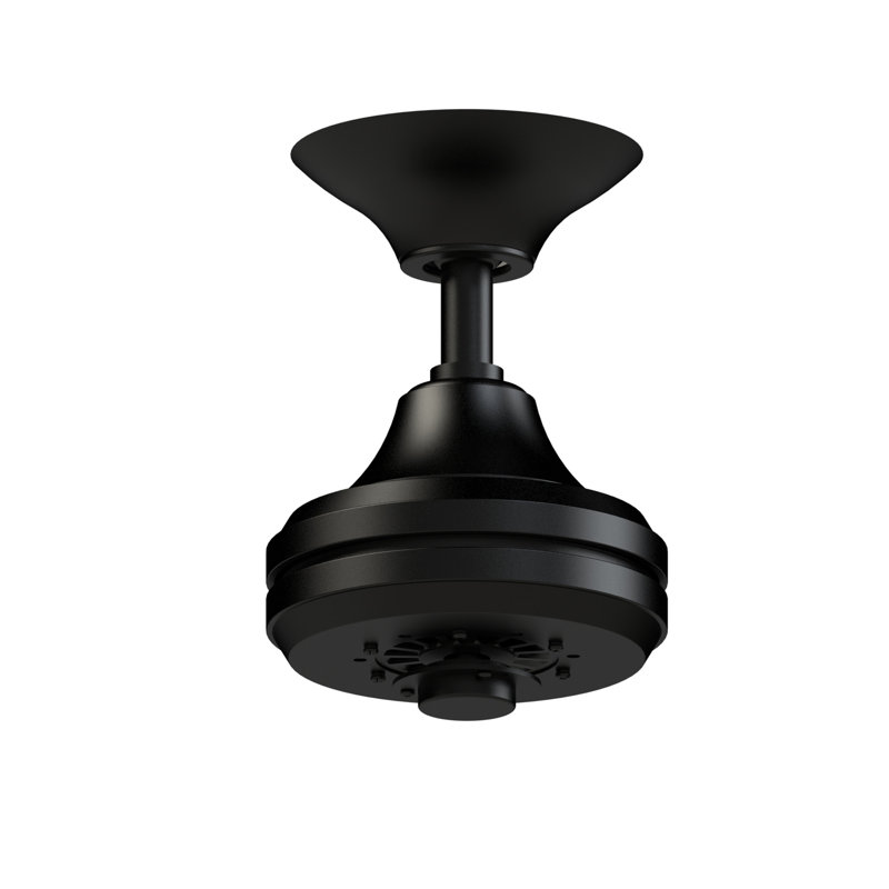 Spitfire Indoor/Outdoor Ceiling Fan AC Motor - Black, Black