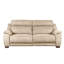 Nedia 2 Seater Power Reclining Upholstered Sofa-100078008