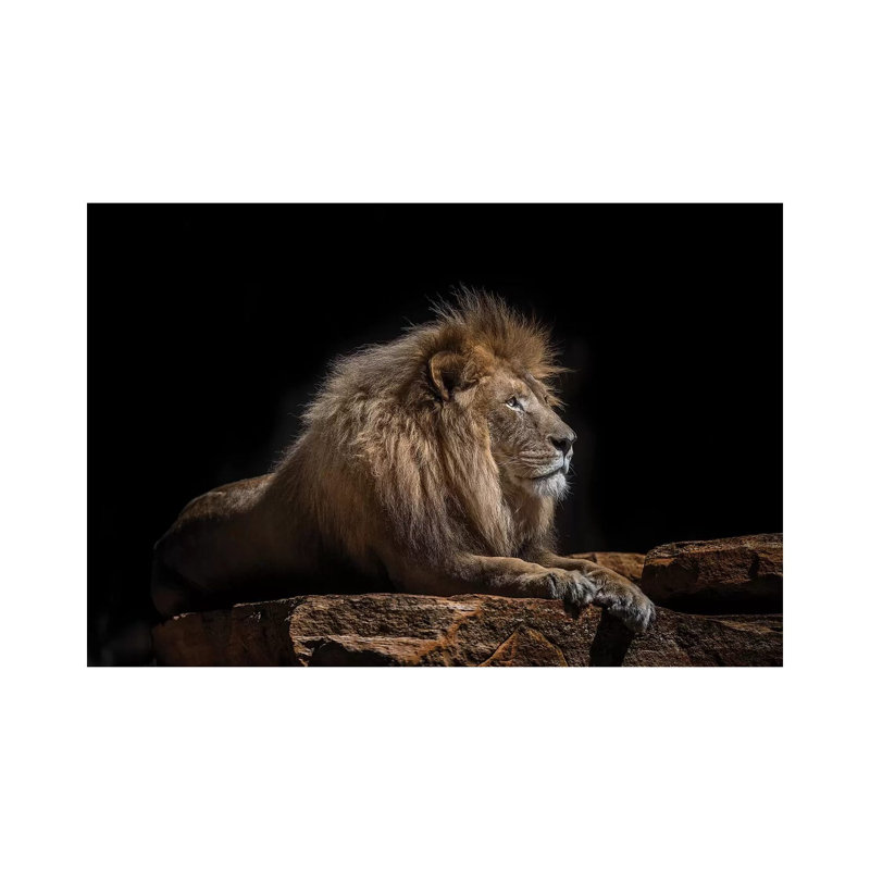 Lazarus by David Whelan - Print on Canvas, 101.6 cm H x 66.04 cm W x 1.91 cm D, Wrapped Canvas