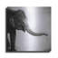 «Elephant II» par Debra Van Swearing «Elephant II» par Debra Van Swearingen-1398691546
