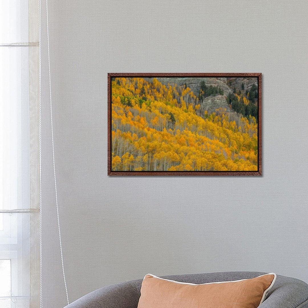 Autumn Canyon von Bill Sherrell - Galerie-umwickelte Leinwand Giclée auf Leinwand