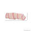 4"X10y Gingerbread/Peppermint On Lame Ribbon