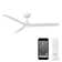 54" Blitzen 3 - Blade Smart Ceiling Fan With Remote Control Included, Works With Google Assistant, Amazon Alexa, iOS And Android APP