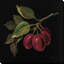 « prune no words », reproduction de peinture à l’acrylique sur toile-25342296-25342309