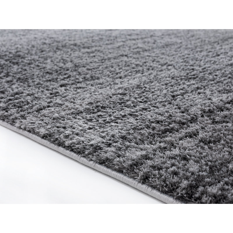 Tapis gris foncé à poils longs Wadena, Rectangle 3 pi 3 po x 4 pi 11 po