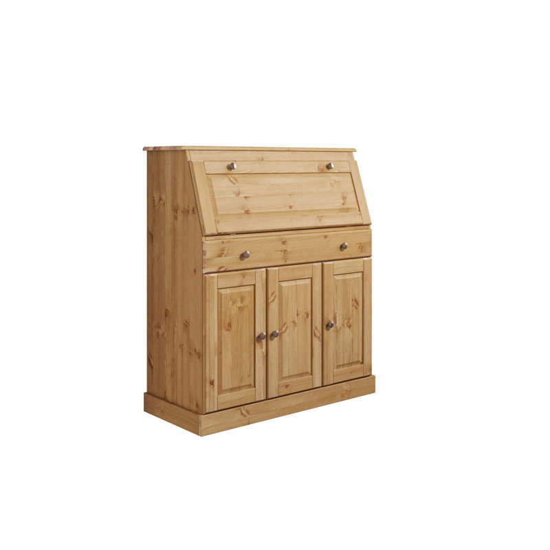 Dinardo Solid Wood 3 - Door Rectangle Accent Cabinet, Natural