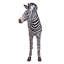 Statue foal zèbre à l’échelle grand-africains