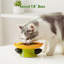 Assiette en forme de fleur de chat en forme de fleur 100% faite à la main en céramique 5,9 po-118806490