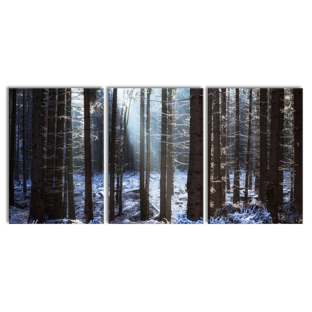 3-tlg. Leinwandbilder-Set Winterwald